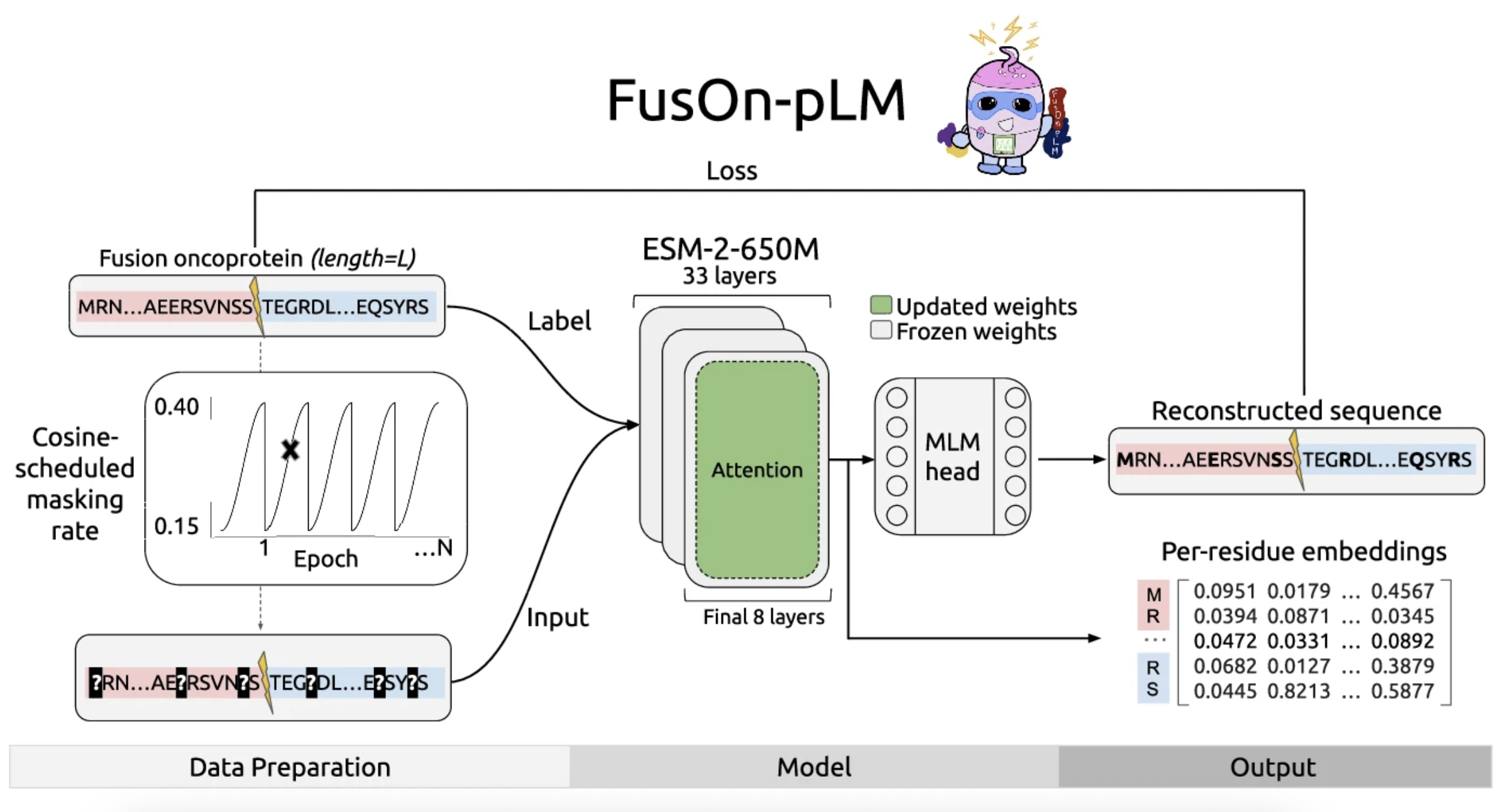 FusOn-pLM: a fusion oncoprotein-specific language model via adjusted rate masking